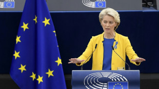 EU-Staaten sollen bis zu 140 Milliarden Euro an Verbraucher aussch&uuml;tten