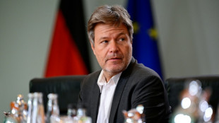 Habeck will Industrie massiv subventionieren und daf&uuml;r Schuldenbremse lockern