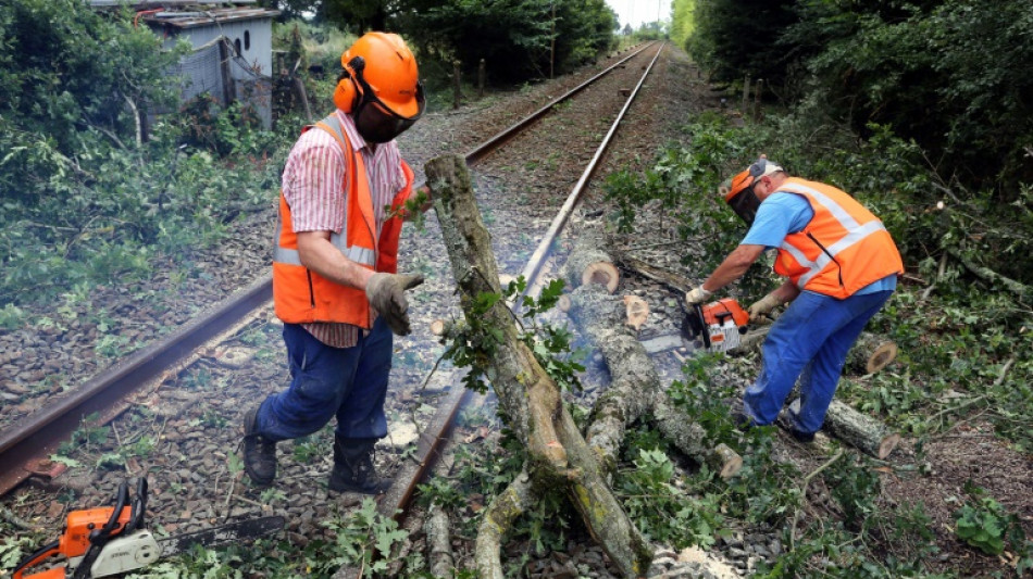 Temp&ecirc;te Domingos: nombreux d&eacute;g&acirc;ts sur le r&eacute;seau ferroviaire, deux trains bloqu&eacute;s toute la nuit en Corr&egrave;ze