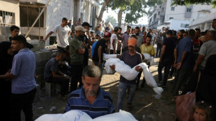 Plus de 100 ONG mettent en garde contre une "famine de masse" se propageant à Gaza