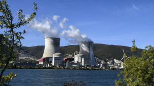 Frankreichs Atomproduktion soll wegen Hitzewelle erneut gedrosselt werden
