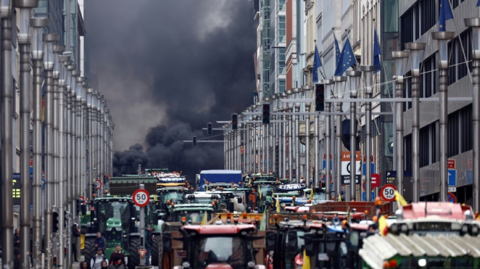 Bauernverband: EU-Einigung auf Deckel f&uuml;r Ukraine-Importe "keine echte Antwort"