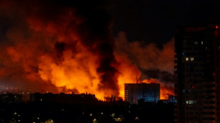 Zelensky et Trump parlent d&eacute;fense antia&eacute;rienne apr&egrave;s une attaque russe de drones record