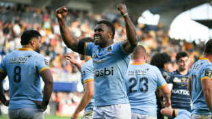 Top 14: l'Usap ou la culture du maintien &agrave; la sauce catalane