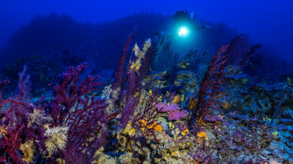 Grecia proh&iacute;be la pesca de arrastre en un archipi&eacute;lago rico en corales