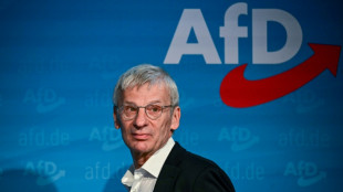 AfD erreicht laut Umfrage H&ouml;chststand in Brandenburg