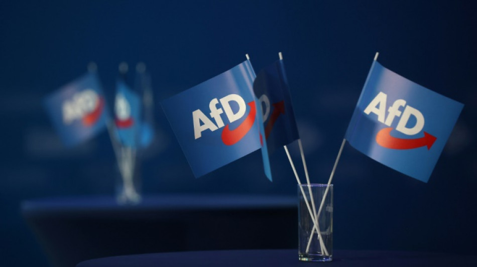 AfD in Freiburger Gemeinderat unterliegt in Rechtsstreit um Artikel in Amtsblatt