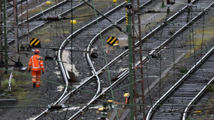 Staatsschutz &uuml;bernimmt Ermittlungen zu Brand an G&uuml;terbahnstrecke in Sachsen-Anhalt