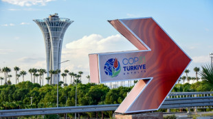 COP31 eyes modest steps as climate disasters multiply