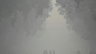 Contaminaci&oacute;n obliga a cerrar escuelas en la capital de India