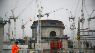 S&eacute;curit&eacute; &eacute;nerg&eacute;tique: Londres promet des milliards pour le nucl&eacute;aire