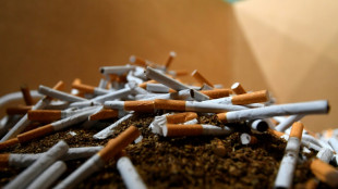 M&uuml;nchner Zoll beschlagnahmt rund 3,2 Millionen geschmuggelte Zigaretten