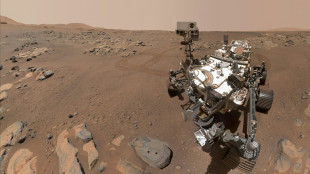 El rover Perseverance cumple un a&ntilde;o buscando rastros de vida en Marte