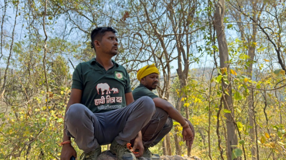 En Inde, un syst&egrave;me d'alerte pour pr&eacute;venir les attaques d'&eacute;l&eacute;phants