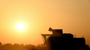 Agriculture: la loi Duplomb entrevoit le bout du tunnel parlementaire, sans &eacute;teindre la controverse