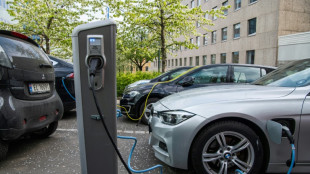 En Norv&egrave;ge, 89% des voitures neuves vendues en 2024 &eacute;taient &eacute;lectriques