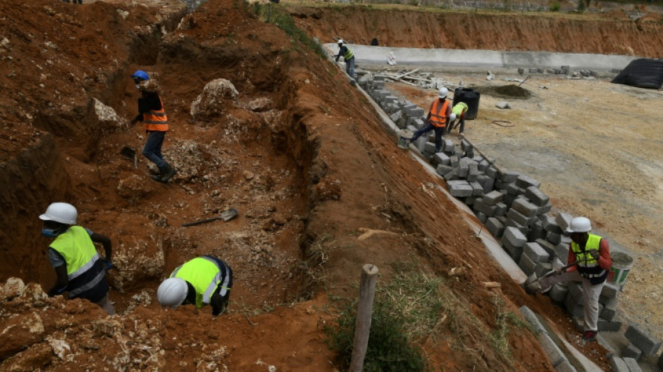 Kenya: un "marais artificiel" purifie les eaux us&eacute;es f&eacute;tides d'une prison