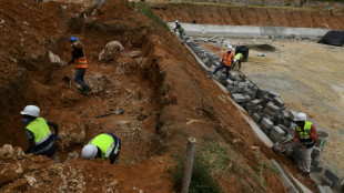 Kenya: un "marais artificiel" purifie les eaux us&eacute;es f&eacute;tides d'une prison