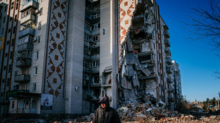 Ukraine: Poutine ordonne un cessez-le-feu, blind&eacute;s occidentaux pour Kiev