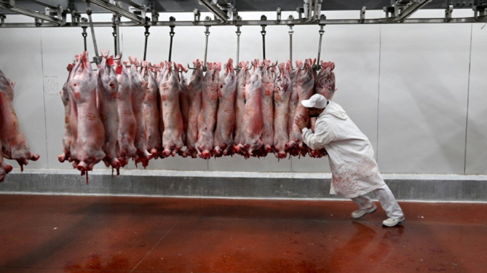 Les Fran&ccedil;ais ont un peu moins d'app&eacute;tit pour la viande