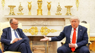 Merz l&auml;dt vor Putin-Trump-Gipfel zu virtuellen Treffen mit Trump und Selenskyj ein