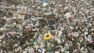 Toxic Balkan wildfires ignite in poorly managed dumps