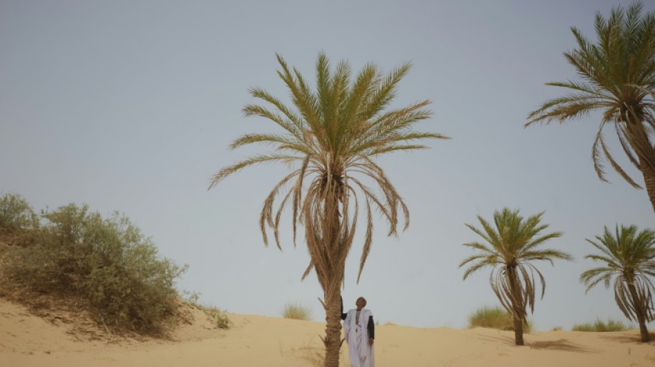 En Mauritanie, l'indispensable datte menac&eacute;e par le changement climatique
