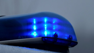 Iraker mit gekaufter karibischer Staatsb&uuml;rgerschaft an M&uuml;nchner Flughafen gestoppt