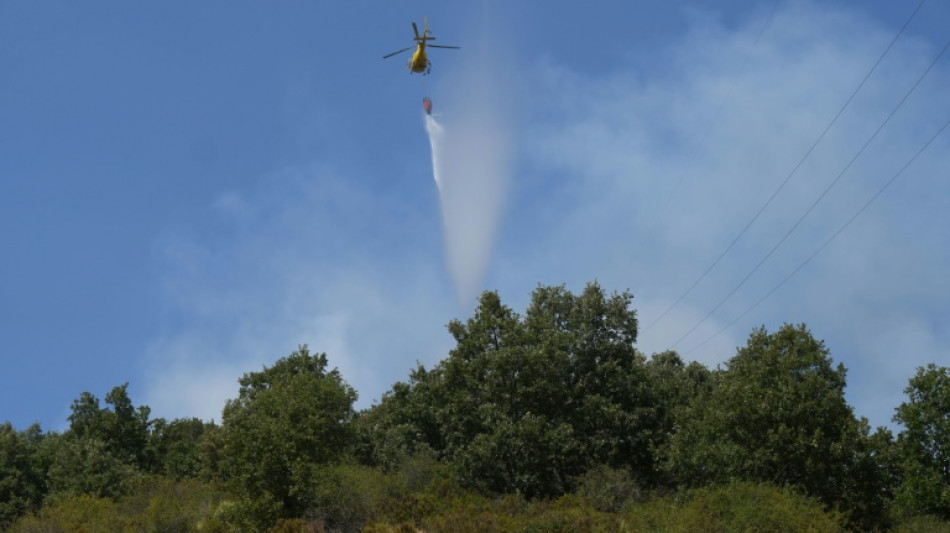 Los bomberos avanzan en la lucha contra los incendios en España