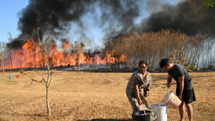 Jefe de polic&iacute;a en Brasil aboga por penas m&aacute;s duras contra autores de incendios