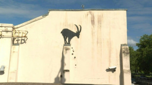 Roban otra obra de Banksy en Londres una hora despu&eacute;s de su aparici&oacute;n