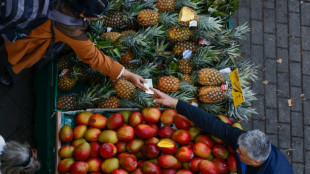 Internationale Gr&uuml;ne Woche startet in Berlin
