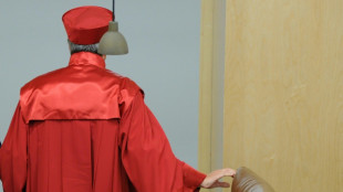 SPD nominiert Juristin Emmenegger für Bundesverfassungsgericht