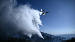 Gr&egrave;ce: violent incendie pr&egrave;s d'Ath&egrave;nes, des dizaines d'&eacute;vacuations