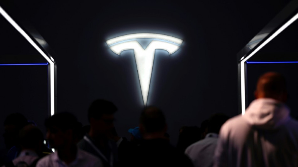 Landesarbeitsgericht: Betriebsratswahl bei Tesla kann Mitte M&auml;rz stattfinden 