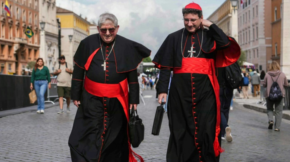 What's a cardinal? The 'princes' of the Church electing a new pope