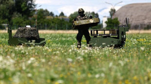 Bild, droni in Germania in volo anche su un sito militare