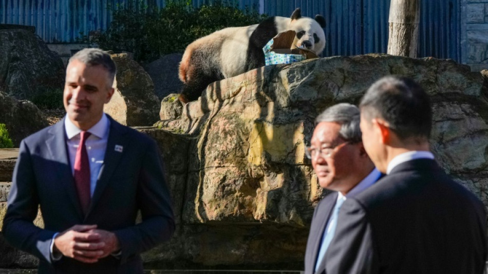 Par la "diplomatie du panda", le Premier ministre chinois scelle la relance des relations avec l'Australie