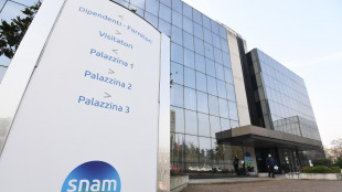 Snam, con Edison Stoccaggio capacit&agrave; 18 miliardi di metri cubi