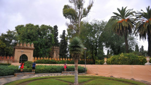 Cierran parques y sacrifican aves en el sur de España ante casos de gripe aviar