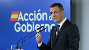 Espa&ntilde;a elevar&aacute; este a&ntilde;o su gasto militar al 2% del PIB, afirma Pedro S&aacute;nchez