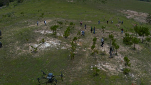 M&eacute;xico usa drones para dispersar semillas y reforestar bosques quemados 
