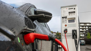 Denkfabriken: E-Autof&ouml;rderung sollte sich am Einkommen orientieren