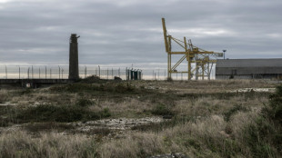 10.000 Tonnen Fisch im Jahr: Beh&ouml;rden in S&uuml;dfrankreich genehmigen Mega-Lachsfarm