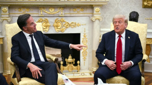 Rutte: "Faktische" Anerkennung russischer Kontrolle &uuml;ber ukrainische Gebiete m&ouml;glich