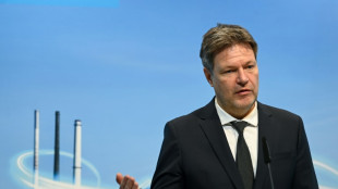 Wirtschaftsminister Habeck k&uuml;ndigt "scharfes Sanktionspaket" an