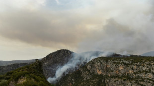 Miles de hect&aacute;reas arrasadas por los incendios forestales en Espa&ntilde;a