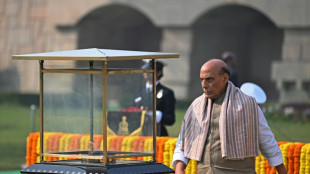 India aprueba desarrollar un prototipo de avi&oacute;n de combate