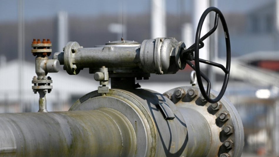 Studie: Entscheidend f&uuml;r Normalisierung des Gaspreises ist R&uuml;ckgang der Nachfrage