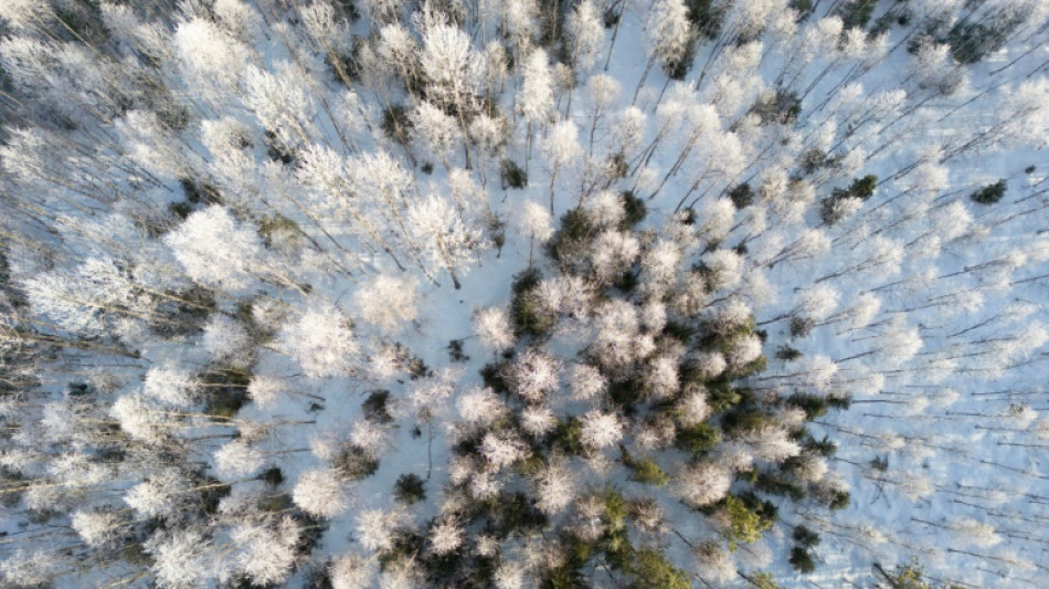 El verano de 2024 en Laponia fue el m&aacute;s c&aacute;lido de los &uacute;ltimos 2.000 a&ntilde;os